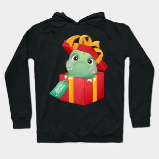 Cute Christmas Dinosaur In a Gift Box Hoodie